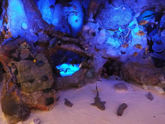 Museu da Ilha de Cozumel